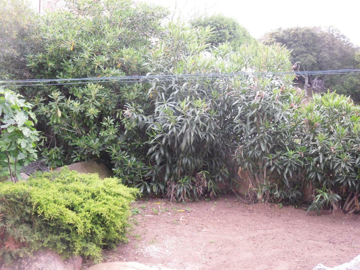 Casa Myrta 3 Etoiles