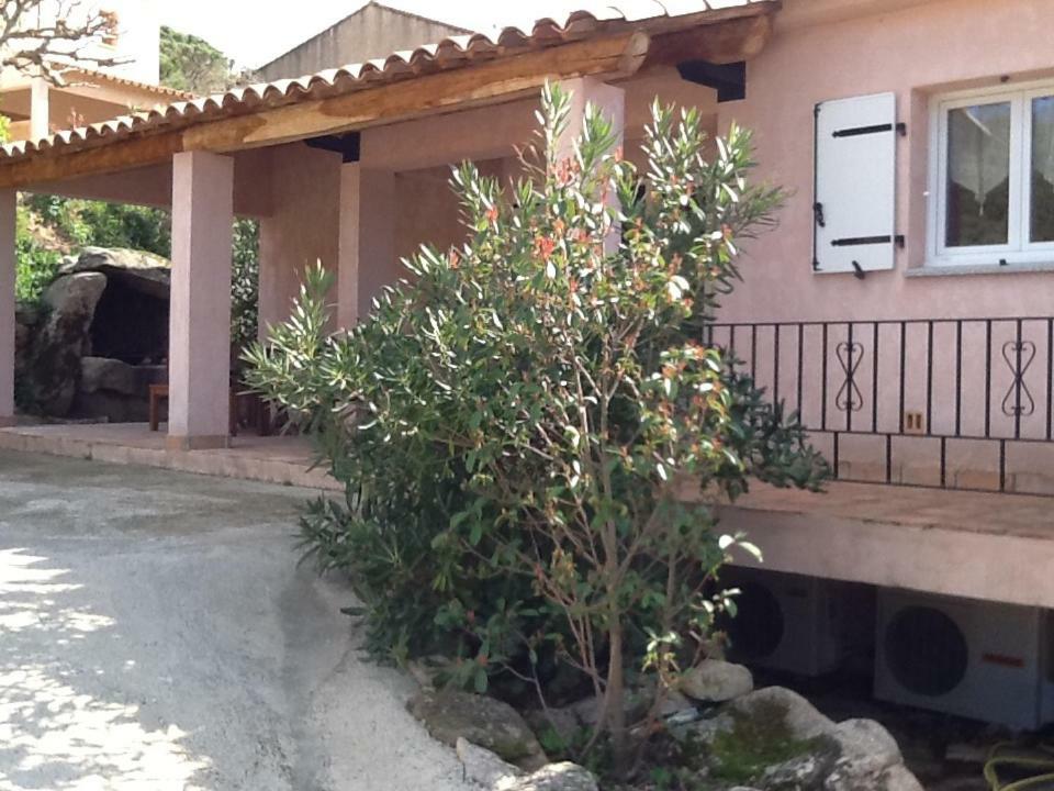 Casa Myrta * Porto Vecchio