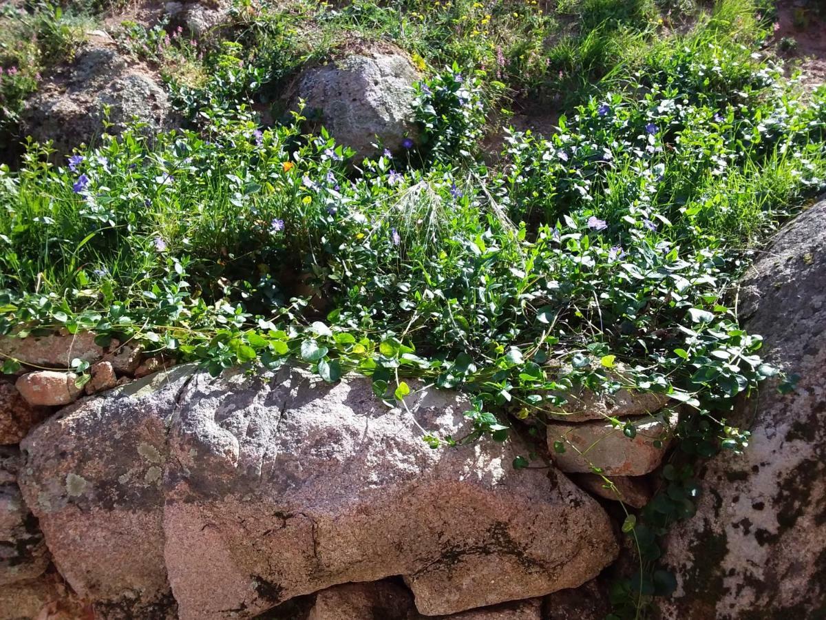 Casa Myrta 3 Etoiles