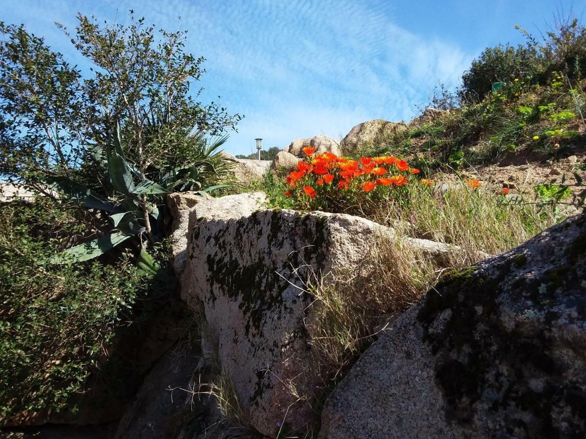 Casa Myrta 3 Etoiles Hébergement de vacances Porto-Vecchio (Corsica)